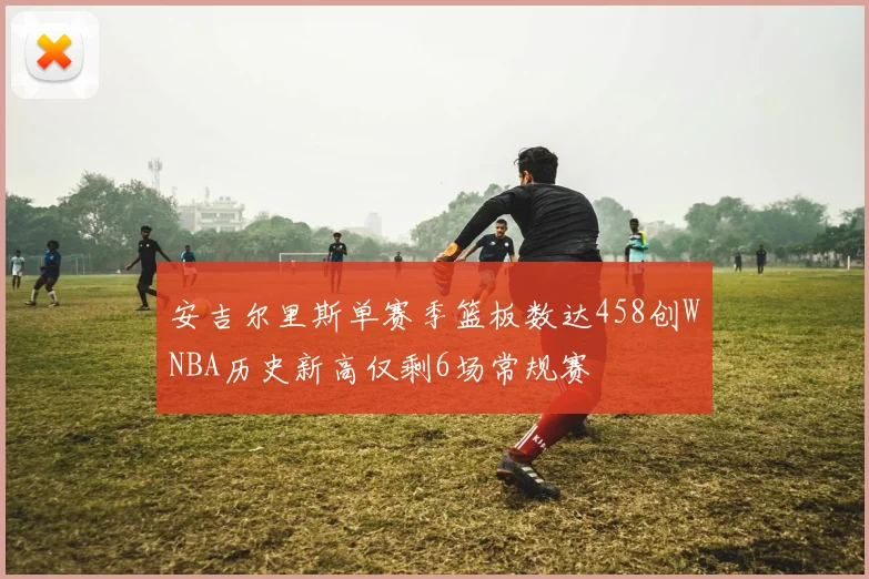安吉尔里斯单赛季篮板数达458创WNBA历史新高仅剩6场常规赛